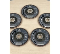 Круг лепестковый торцевой PremFix тип Т29 Ceramic P120 Binic Abrasive (Ø125ммх22мм), упак. 10 шт. 3125515312