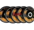 Круг лепестковый торцевой BINIC КЛТ2 FASTPLUS 125x22мм P60 AOx конический 5шт 101569 5