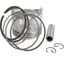 Поршень, кольца, поршневой палец, фиксатор REDVOLT G200 06-112K KIT 2