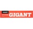 Электроды Gigant ПРО-46, (3 мм; 5 кг) GBR-3005R 2