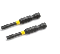 Бита ударная Дело Техники 1/4", Т25 × 50 мм, 2шт. 795622