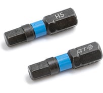 Бита ударная Дело Техники 1/4", H5 × 25 мм, 2шт. 796302