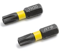 Бита ударная Дело Техники 1/4", Т30 × 25 мм с отверстием, 2шт. 794802