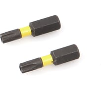 Бита ударная Дело Техники 1/4", Т25 × 25 мм с отверстием, 2шт. 794602