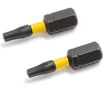 Бита ударная Дело Техники 1/4", Т20 × 25 мм с отверстием, 2шт. 794502