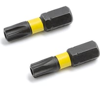 Бита ударная Дело Техники 1/4", Т40 × 25 мм с отверстием, 2шт. 794902