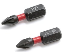 Бита ударная (2 шт; PZ1х25 мм; 1/4") Дело Техники 793602