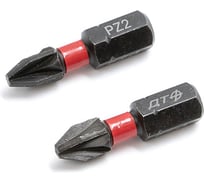 Бита ударная Дело Техники 1/4", PZ2 × 25 мм, 2шт. 793702