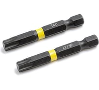 Бита ударная Дело Техники 1/4", Т40 × 50 мм, 2шт. 795922