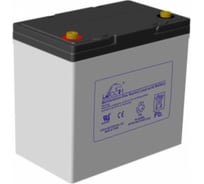 Аккумулятор для ИБП Leoch DJM1255 12В, 55 Ач УТ-00000570