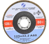 Круг лепестковый торцевой SA28003P (125x22.2 мм; КЛТ1; 14А; А60; №25) CNIC 53714