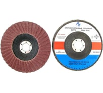 Круг лепестковый торцевой SA28007H (180x22.2 мм; 14А; КЛТ3; Р60/Р60; №25) CNIC 50781