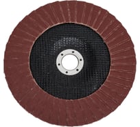 Круг лепестковый торцевой SA28007H (180x22.2 мм; 14А; КЛТ3; Р180/Р180; №6) CNIC 50784