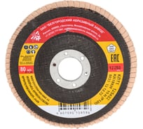 Круг лепестковый БАЗ торцевой (125x22 мм; Р120 (№10)) РемоКолор 45-5-529