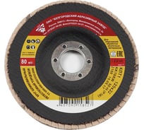 Круг лепестковый торцевой (125x22 мм; Р36 (№50)) РемоКолор 45-5-523