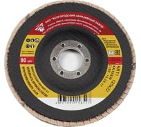 Круг лепестковый БАЗ торцевой (125x22 мм; Р100 (№12)) РемоКолор 45-5-528