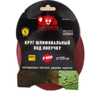 Круг шлифовальный 125 мм, P800, 5 шт Росомаха 435800 20978097