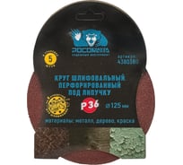 Круг шлифовальный перфорированный, 8 отверстий, 125 мм, P36, 5 шт Росомаха 438036