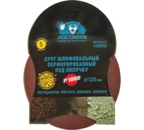 Круг шлифовальный перфорированный, 8 отверстий, 125 мм, P1000, 5 шт Росомаха 438810
