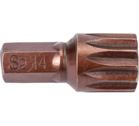 Бита 12-лучевая SPLINE M14, 30 мм, 5/16 Forsage F-1563014 Premium(50298)
