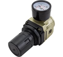 Регулятор давления с манометром профи 1/4" AR3000-02 Pegas pneumatic 4601Б