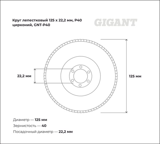 Круг лепестковый Professional 125х22.2 мм, P40, цирконий Gigant GNT-P40