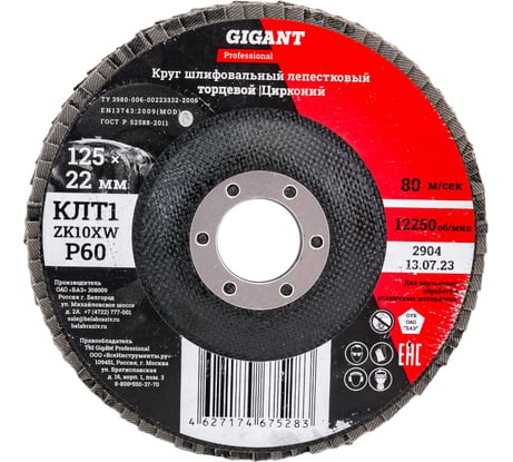 Круг лепестковый Professional 125х22.2 мм, P60, цирконий Gigant GNT-P60