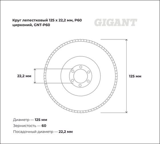 Круг лепестковый Professional 125х22.2 мм, P60, цирконий Gigant GNT-P60