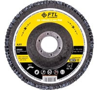 Круг лепестковый по нержавеющей стали Ergo 27 (125x22.2 мм; P40) FTL 8673