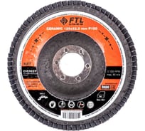 Круг лепестковый по нержавеющей стали Everest 27 (125x22.2 мм; P100) FTL 8686