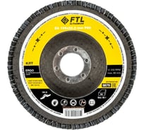 Круг лепестковый по нержавеющей стали Ergo 29 (125x22.2 мм; P60) FTL 8679