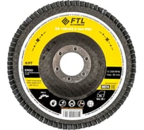 Круг лепестковый по нержавеющей стали Ergo 27 (125x22.2 мм; P60) FTL 8674