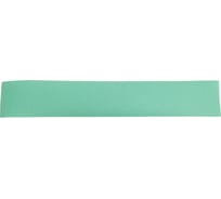 Полоски абразивные без отверстий RADEX GREEN FILM 100 шт, 70х420 мм, P180 Radex 665206