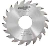 Диск пильный HW пазовый (100x30x4/3 мм; Z20 WZ) Golden Eagle TL00001338 20840367