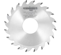 Диск пильный HW пазовый (100x30x4/3 мм; Z20 WZ) Golden Eagle TL00001338