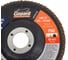 Круг лепестковый 125x22.2 мм, P60, плоский Gepard GP5016-60 3