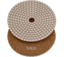 Круг шлифовальный алмазный гибкий АГШК для универсальной полировки 100 мм, P3000 S.E.B. 103AT-AW3000