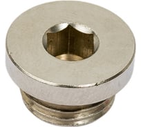 Заглушка JDG под шестигранник - 02 1/4" NBPT 54185