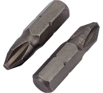 Биты РН N2, 100 шт Управдом CrV 233111-2-100 4100002139