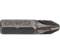 Биты PZ N2, 50 шт Управдом CrV 233211-2-50 4100002151