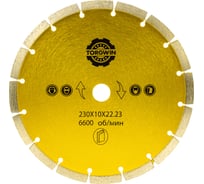 Алмазный диск сегментированный HOT PRESS 230х10х22.23 мм TORGWIN T567094