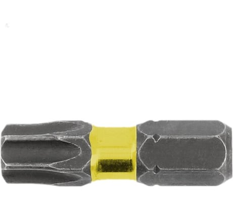 Биты ударные TORX 20, 25 мм, сталь S2, 5 шт HOEGERT TECHNIK HT1S137