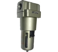 Фильтр влагомаслоотделитель к пескоструйным установкам DSMG Российский 015-1293