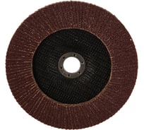 Диск лепестковый для УШМ (180х22 мм; К40) Makita D-27333