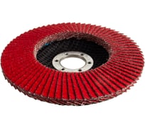 Диск лепестковый для УШМ (125х22 мм; К60) Makita D-28341