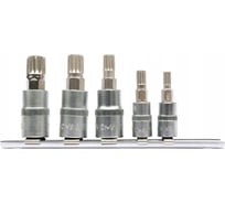 Набор головок-бит SPLINE 1/4" М5, М6 3/8" М8, М10, М12 5 предметов на металлической планке YATO YT-04360