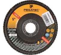 Круг лепестковый Т27 125x22 мм, P40 для стали Pegatec PSRFD125CA-40