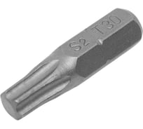 Бита WP T30, 25 мм, 2 шт RITTER PS20193021