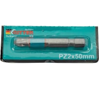 Бита WP PZ2, 50 мм, магнитные, 10 шт лента RITTER PS20122050