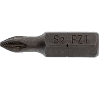 Бита WP PZ1, 25 мм, магнитная, 2 шт RITTER PS20121021